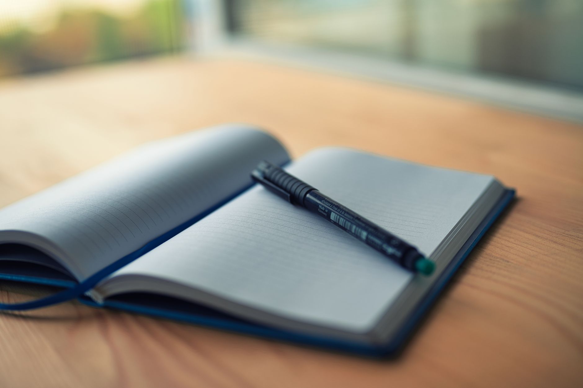 Travel writer taking field notes in nature